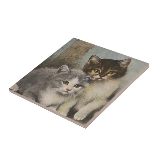 Cute Kittens-tegel Tegeltje (Zijkant)