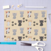 Cute Kittens Tissuepapier (Craft)
