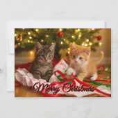 Cute Kittens Under Christmas Tree Feestdagenkaart (Voorkant)