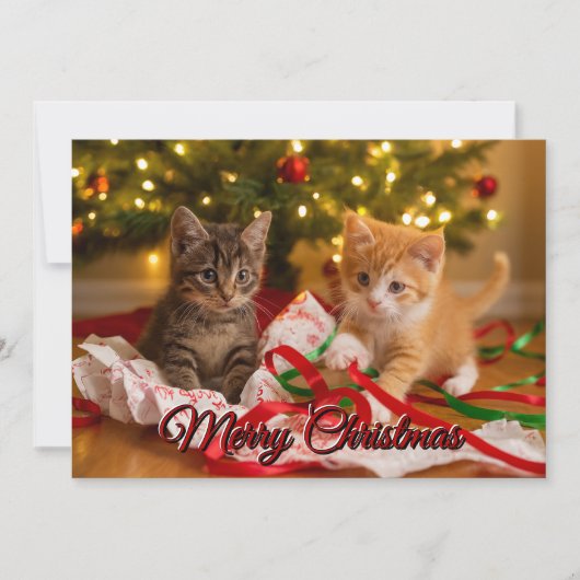 Cute Kittens Under Christmas Tree Feestdagenkaart (Voorkant)