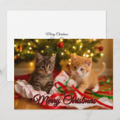 Cute Kittens Under Christmas Tree Feestdagenkaart (Voorkant / Achterkant)