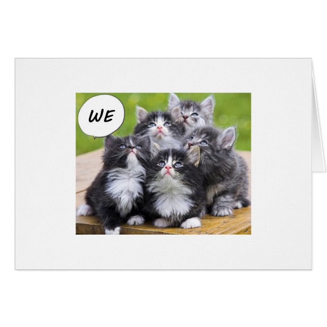 CUTE KITTENS WENS IEMAND EEN HAPPY BIRTHDAY (Voorkant Horizontaal)