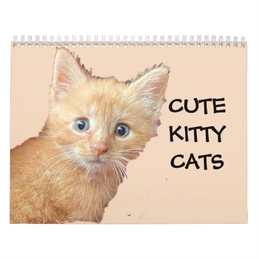 CUTE KITTIE CATS-kalender Kalender (Hoes)