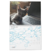 CUTE KITTIE CATS-kalender Kalender (Feb 2027)