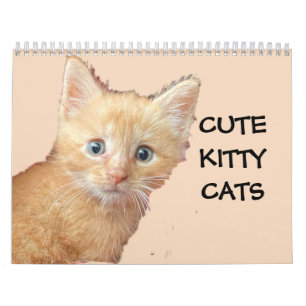 CUTE KITTIE CATS-kalender Kalender