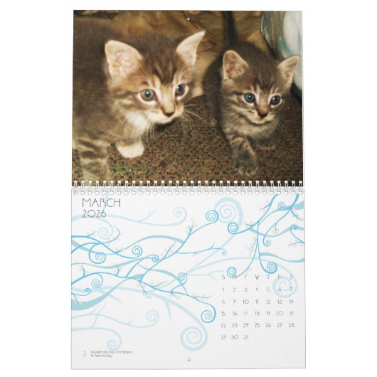 CUTE KITTIE CATS-kalender Kalender (Mar 2026)