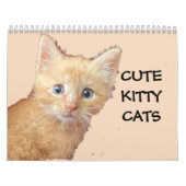 CUTE KITTIE CATS-kalender Kalender (Hoes)