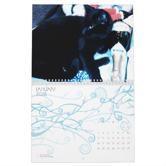 CUTE KITTIE CATS-kalender Kalender (Jan 2026)