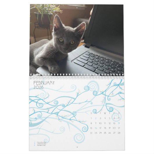 CUTE KITTIE CATS-kalender Kalender (Feb 2026)