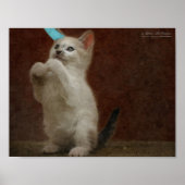 Cute Kittie Poster (Voorkant)