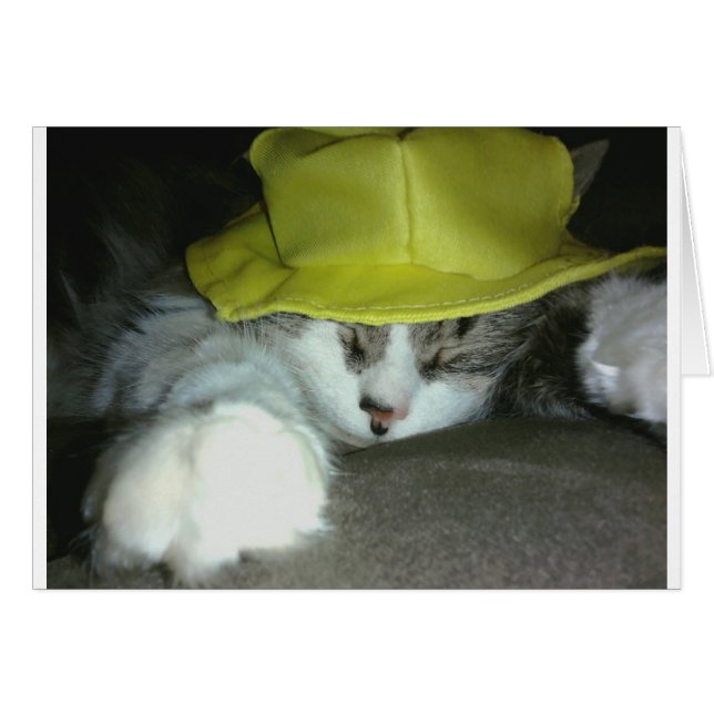 CUTE KITTY CAT (Voorkant Horizontaal)