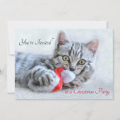 Cute Kitty Cat Biting a Red Santa Hat Kerstmis Kaart (Voorkant)