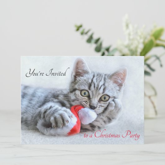 Cute Kitty Cat Biting a Red Santa Hat Kerstmis Kaart (Staand voorkant)