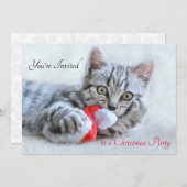 Cute Kitty Cat Biting a Red Santa Hat Kerstmis Kaart (Voorkant / Achterkant)