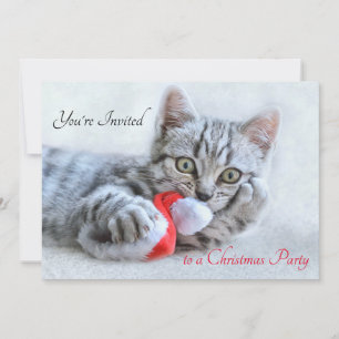 Cute Kitty Cat Biting a Red Santa Hat Kerstmis Kaart