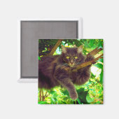 Cute Kitty Cat Magneet (Voorkant / Achterkant)