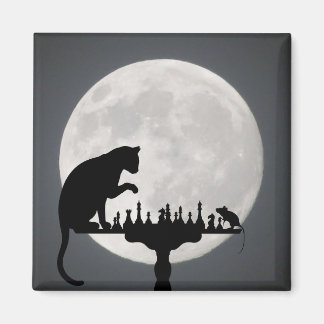 Cute Kitty Cat Magneet