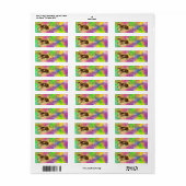 Cute  Kitty Cat Nap Abstracte regenboogkunst Etiket (Full Sheet)
