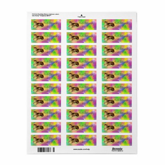 Cute Kitty Cat Nap Abstracte regenboogkunst Etiket (Full Sheet)