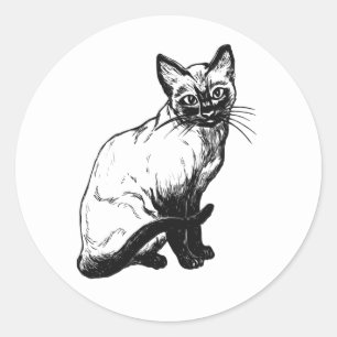 Cute Kitty Kitten Illustratie Zwarte Witte Kat Ronde Sticker