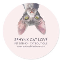 Cute Kleine Roze Canadese Sphynx Kat Auto