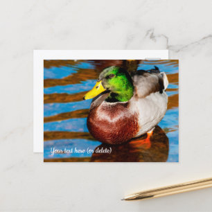 Cute Kleine Wilde Eend Ansichtkaart Briefkaart