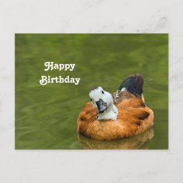 Cute Kleurrijke Eend Foto Verjaardag Briefkaart
