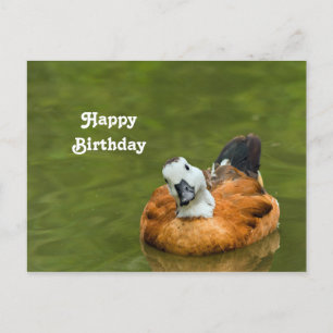 Cute Kleurrijke Eend Foto Verjaardag Briefkaart
