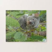 Cute Koala Beer Baby Australië Fotografie Legpuzzel (Horizontaal)