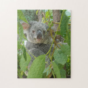 Cute Koala Beer Baby Australië Fotografie Legpuzzel