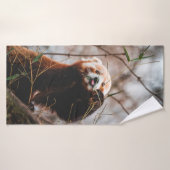 CUTE KOALA BEER BADHANDDOEK (Badhanddoek)