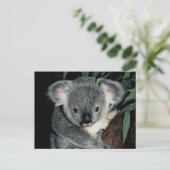 Cute Koala Beer Briefkaart (Staand voorkant)