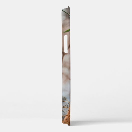 CUTE KOALA BEER Case-Mate iPhone CASE (Achterkant / Rechts)