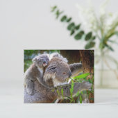Cute Koala Beer Destiny Natuur Aussi Outback Briefkaart (Staand voorkant)