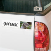 Cute Koala Beer Destiny Natuur Aussi Outback Bumpersticker (Op Truck)