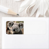 Cute koala Beer Etiket (Insitu)