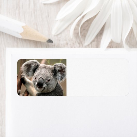 Cute koala Beer Etiket (Insitu)