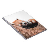 CUTE KOALA BEER FAMILIE NOTITIEBOEK (Rechterzijde)