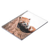 CUTE KOALA BEER FAMILIE NOTITIEBOEK (Linkerzijde)