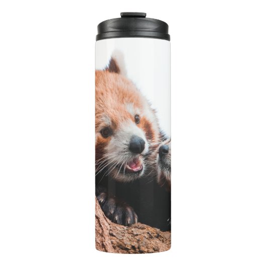 CUTE KOALA BEER FAMILIE THERMOSBEKER (Voorkant)