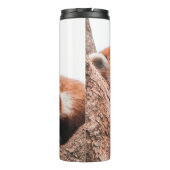 CUTE KOALA BEER FAMILIE THERMOSBEKER (Achterkant)