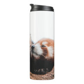 CUTE KOALA BEER FAMILIE THERMOSBEKER (Geroteerd rechts)