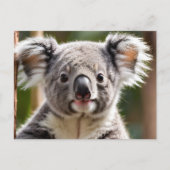 Cute Koala Beer Feestdagenkaart (Voorkant)