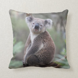 Cute Koala Beer in een Sierkussen van een boomdier
