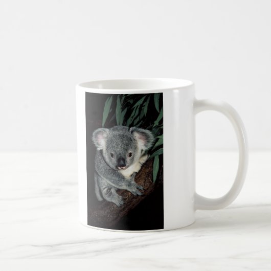 Cute Koala Beer Koffiemok (Rechts)