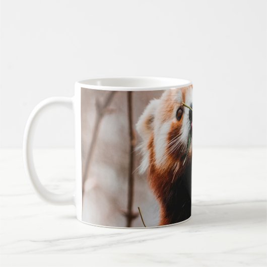 CUTE KOALA BEER KOFFIEMOK (Links)