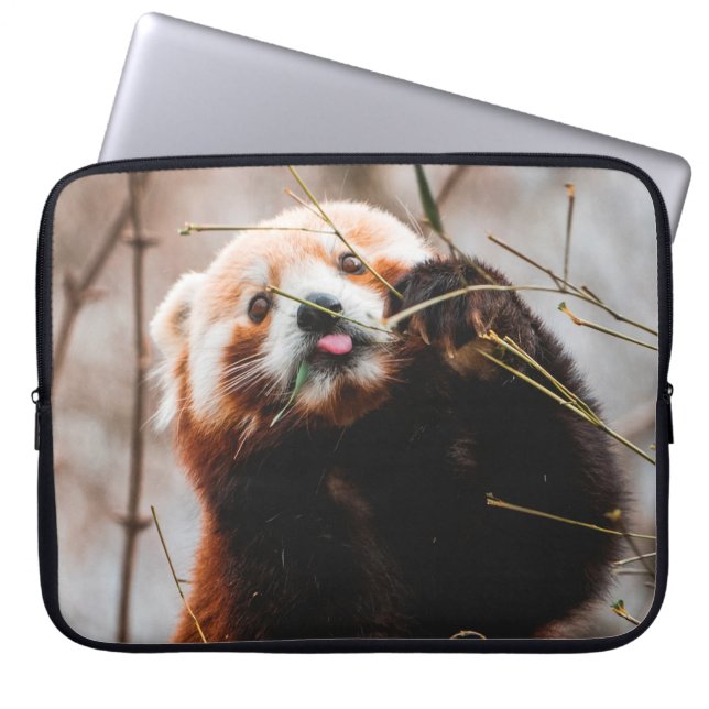 CUTE KOALA BEER LAPTOP SLEEVE (Voorkant)