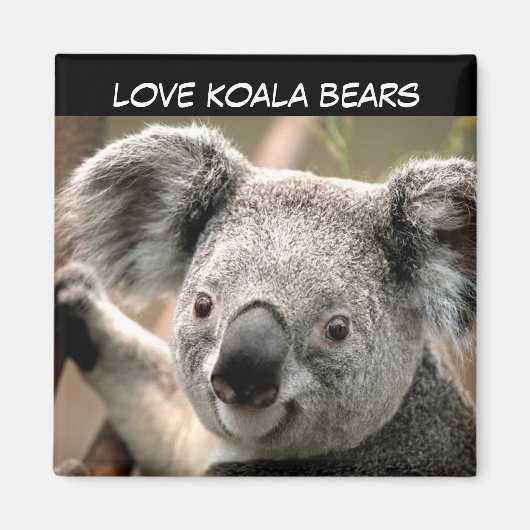 Cute Koala Beer Magneet (Voorkant)