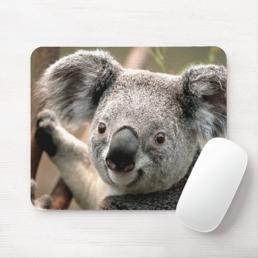 Cute Koala Beer Muismat (Met muis)