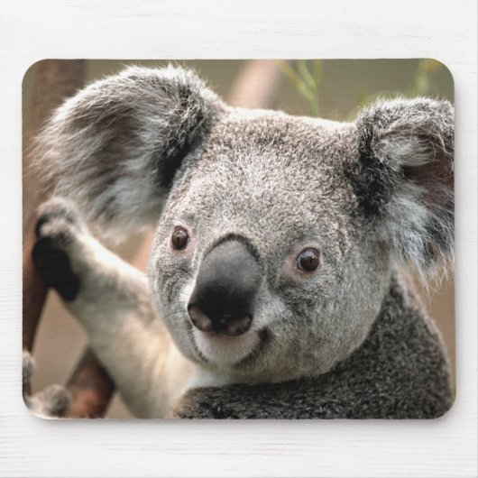 Cute Koala Beer Muismat (Voorkant)